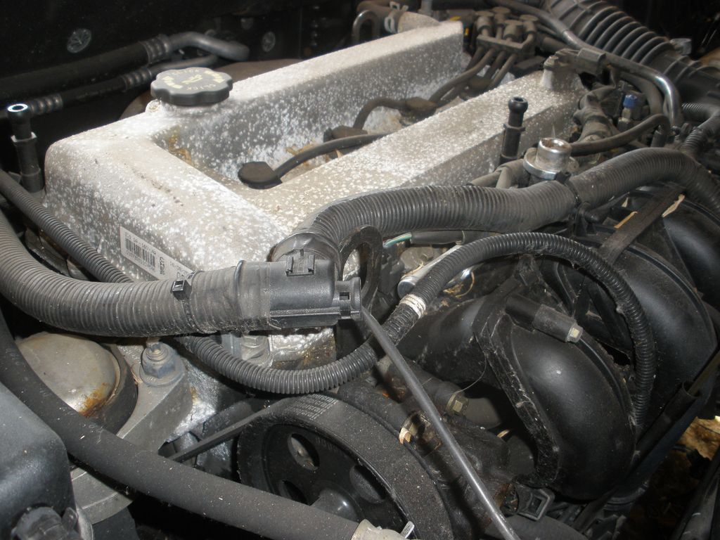 Двигатель Ford CJBA, CJBB : фотография №7